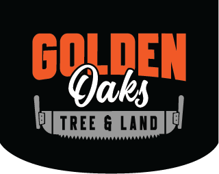 Home | Golden Oaks Tree & Land